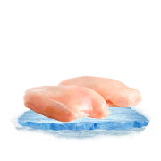 صدر دجاج