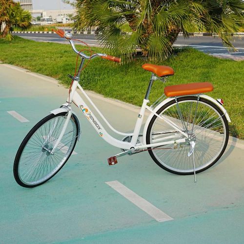 Fengix Bicycle Ladies 26 Inch