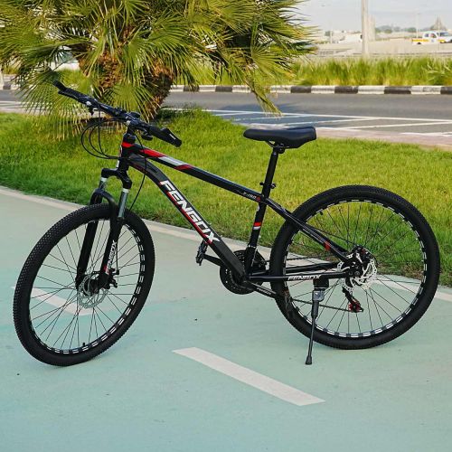 Fengix Bicycle 26 Inch