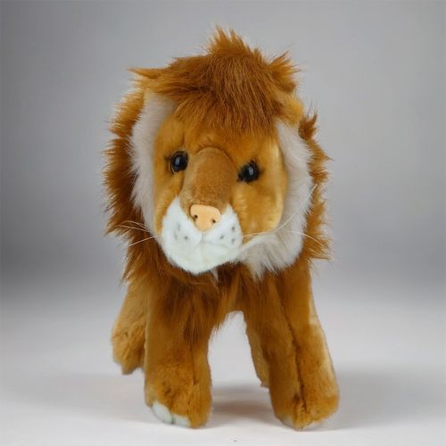 Soft Lion