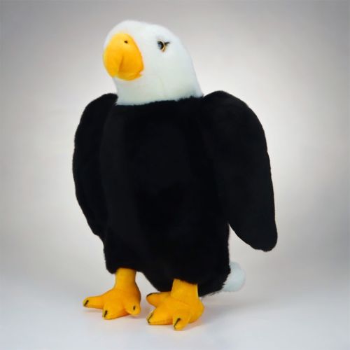 Soft Eagle