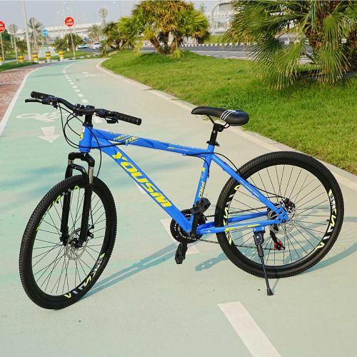 Yousm Bicycle 20 Inch