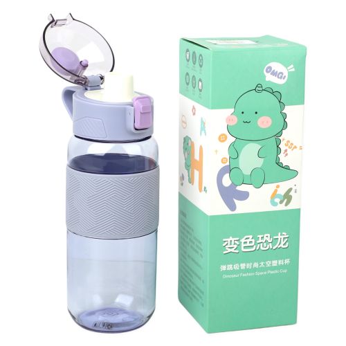 Water Bottle 1 Piece Assorted - ST-6033