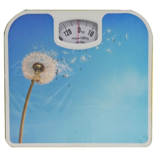 Bathroom Scale