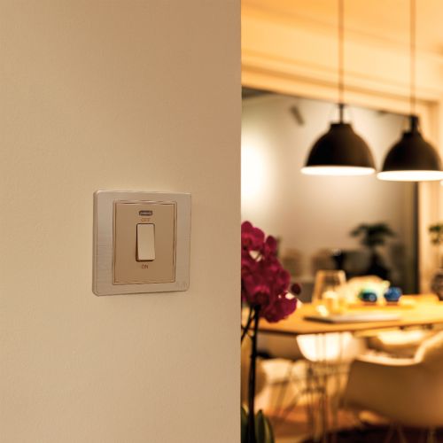 Double Pole Switch With Neon