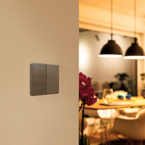 2 Gang 1 Way Plate Switch