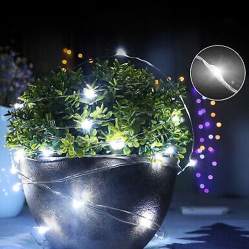 Indoor and Outdoor Decoration Light