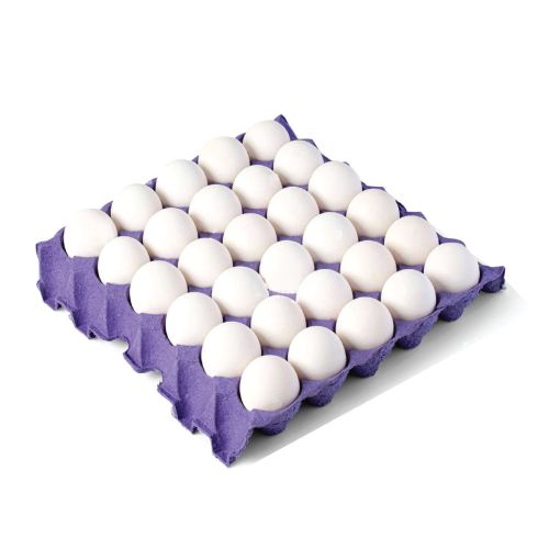 6297001938472_1