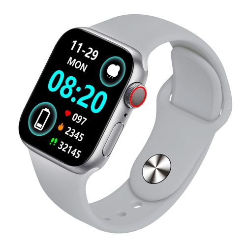Platinum Smart Watch Silver P-SWHALECSL