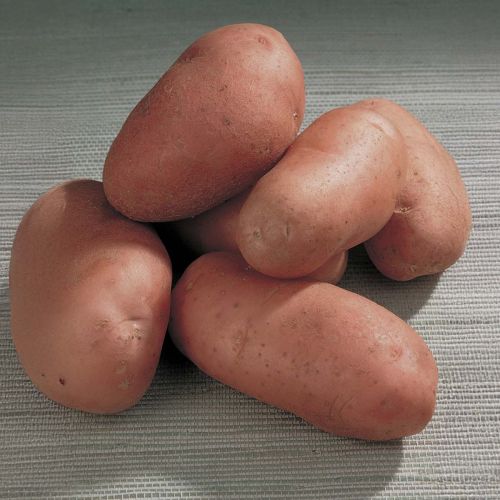 9101090000000_1