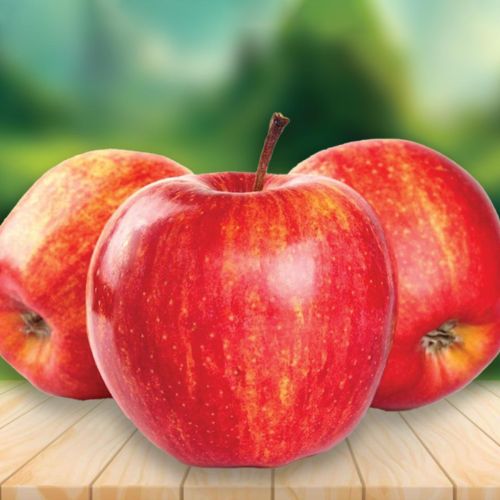 Apple Royal Gala
