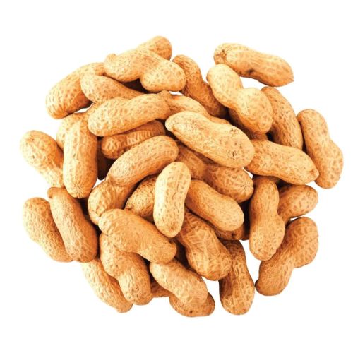 Egyptian Whole Peanuts 500g
