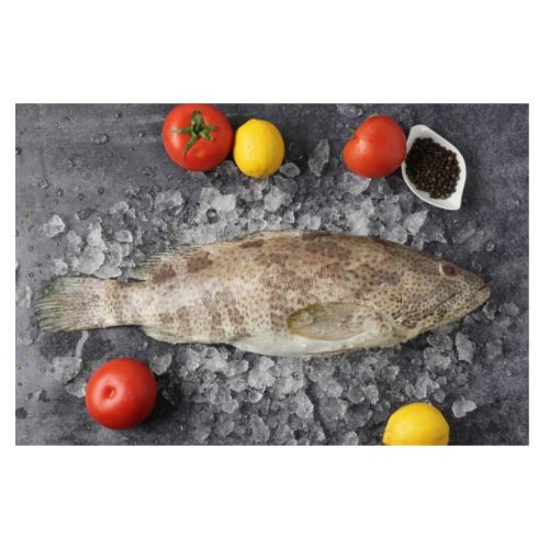 Hamour Fish Medium 1kg