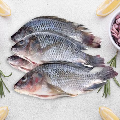 Tilapia Fish Egypt 500g