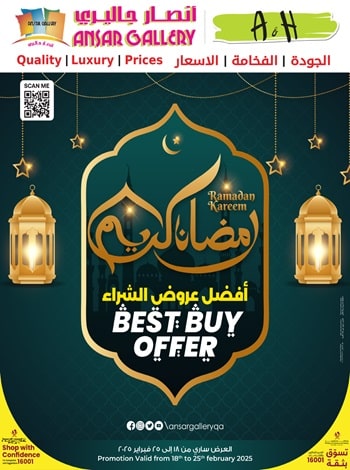 Best
            Buy Offers